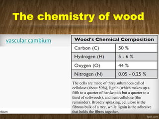 The chemistry of wood
mbium
vascular cambium
The cells are made of three substances called
cellulose (about 50%), lignin (which makes up a
fifth to a quarter of hardwoods but a quarter to a
third of softwoods), and hemicellulose (the
remainder). Broadly speaking, cellulose is the
fibrous bulk of a tree, while lignin is the adhesive
that holds the fibres together.
 