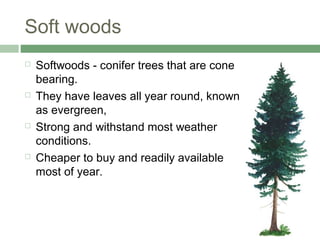 Soft woods
 Softwoods - conifer trees that are cone
bearing.
 They have leaves all year round, known
as evergreen,
 Strong and withstand most weather
conditions.
 Cheaper to buy and readily available
most of year.
 