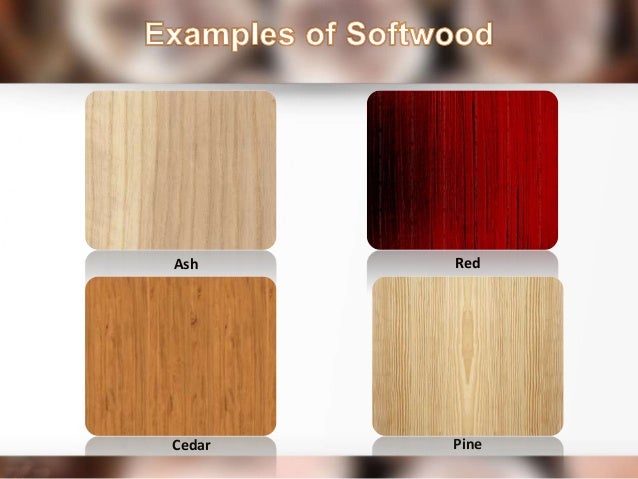 Wood Wood