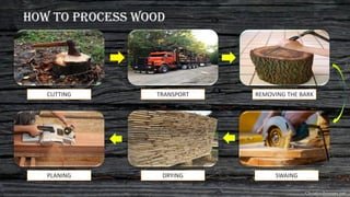 Wood | PPT
