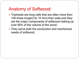 Anatomy of Softwood:
 Tracheids are long cells that are often more then
100 times longer(1to 10 mm) than wide and they
are the major components of softwood making up
over 90% of the volume of the wood.
 They serve both the conduction and mechanical
needs of softwood.
 