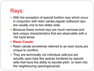 Rays:
 With the exception of special fusifom rays which occur
in conjuction with resin canals,regular softwood rays
are usually one to two slides wide.
 Because these normal rays are much narrower,and
lack unique characteristics that are observable with a
10x hand lense.
 Resin Canals:
 Resin canals sometimes referred to as resin ducts,are
unique to conifers.
 They are technically not individual cells,but are
actually open,tube like spaces bordered by special
cells that have the ability to secrete pitch or resin into
the neighbouring openings(canal).
 