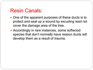 Resin Canals:
 One of the apparent purposes of these ducts is to
protect and seal up a wound by excuding resin tot
cover the damage area of the tree.
 Accordingly in rare instances, some softwood
species that don’t normally have reason ducts will
develop them as a result of trauma.
 