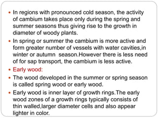  In regions with pronounced cold season, the activity
of cambium takes place only during the spring and
summer seasons thus giving rise to the growth in
diameter of woody plants.
 In spring or summer the cambium is more active and
form greater number of vessels with water cavities,in
winter or autumn season.However there is less need
of for sap transport, the cambium is less active.
 Early wood:
 The wood developed in the summer or spring season
is called spring wood or early wood.
 Early wood is inner layer of growth rings.The early
wood zones of a growth rings typically consists of
thin walled,larger diameter cells and also appear
lighter in color.
 