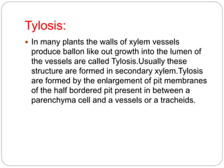 Tylosis:
 In many plants the walls of xylem vessels
produce ballon like out growth into the lumen of
the vessels are called Tylosis.Usually these
structure are formed in secondary xylem.Tylosis
are formed by the enlargement of pit membranes
of the half bordered pit present in between a
parenchyma cell and a vessels or a tracheids.
 