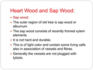 Heart Wood and Sap Wood:
 Sap wood:
 The outer region of old tree is sap wood or
alburnum
 The sap wood consists of recently fromed xylem
elements
 It is not hard and durable.
 This is of light color and contain some living cells
also in association of vessels and fibres.
 Generally the vessels are not plugged with
tylosis.
 