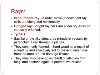 Rays:
 Procumbent ray: In radial views,procumbent ray
cells are elongated horizontally.
 Upright ray: upright ray cells are either squarish or
vertically oriented.
 Tylosis:
 Saclike or cystlike structures prtrude in vessels by
parenchyma cell through a pit pair.
 They commonly formed in hard wood as a result of
wounding and effectively act to prevent water lose
from the area around damage tissues
 They may also develop as result of infection from
fungi and bacteria,again to prevent water lose
 