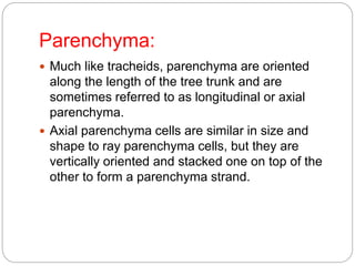 Parenchyma:
 Much like tracheids, parenchyma are oriented
along the length of the tree trunk and are
sometimes referred to as longitudinal or axial
parenchyma.
 Axial parenchyma cells are similar in size and
shape to ray parenchyma cells, but they are
vertically oriented and stacked one on top of the
other to form a parenchyma strand.
 