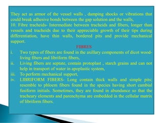 They act as armor of the vessel walls , damping shocks or vibrations that
could break adhesive bonds between the gap solution and the walls,
10. Fibre tracheids- Intermediate between tracheids and fibers, longer than
vessels and tracheids due to their appreciable growth of their tips during
differentiation, have thin walls, bordered pits and provide mechanical
support.
FIBRES
i. Two types of fibers are found in the axillary components of dicot wood-
living fibers and libriform fibers,
ii. Living fibers are septate, contain protoplast , starch grains and can not
help in transport of water in apoplastic system,
iii. To perform mechanical support,
iv. LIBRIFORM FIBERS- Long contain thick walls and simple pits;
resemble to phloem fibers found in the species having short cambial
fusiform initials. Sometimes, they are found in abundance so that the
tracheary elements and parenchyma are embedded in the cellular matrix
of libriform fibers.
 