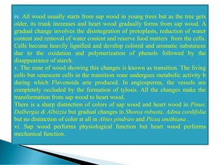 iv. All wood usually starts from sap wood in young trees but as the tree gets
older, its trunk increases and heart wood gradually forms from sap wood. A
gradual change involves the disintegration of protoplasts, reduction of water
content and removal of water content and reserve food matters from the cells.
Cells become heavily lignified and develop colored and aromatic substances
due to the oxidation and polymerization of phenols followed by the
disappearance of starch.
v. The zone of wood showing this changes is known as transition. The living
cells but senescent cells in the transition zone undergoes metabolic activity b
during which Flavonoids arte produced. In angiosperms, the vessels are
completely occluded by the formation of tylosis. All the changes make the
transformation from sap wood to heart wood.
There is a sharp distinction of colors of sap wood and heart wood in Pinus,
Dalbergia & Albizzia but gradual changes in Shorea robusta, Adina cordifolia
but no distinction of color at all in Abies pindraw and Picea smithiana .
vi. Sap wood performs physiological function but heart wood performs
mechanical function.
 
