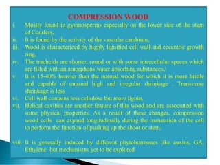 COMPRESSION WOOD
i. Mostly found in gymnosperms especially on the lower side of the stem
of Conifers,
ii. It is found by the activity of the vascular cambium,
iii. Wood is characterized by highly lignified cell wall and eccentric growth
ring,
iv. The tracheids are shorter, round or with some intercellular spaces which
are filled with an amorphous water absorbing substances,
v. It is 15-40% heavier than the normal wood for which it is more brittle
and capable of unusual high and irregular shrinkage . Transverse
shrinkage is less
vi. Cell wall contains less cellulose but more lignin,
vii. Helical cavities are another feature of this wood and are associated with
some physical properties. As a result of these changes, compression
wood cells can expand longitudinally during the maturation of the cell
to perform the function of pushing up the shoot or stem.
viii. It is generally induced by different phytohormones like auxins, GA,
Ethylene but mechanisms yet to be explored
 