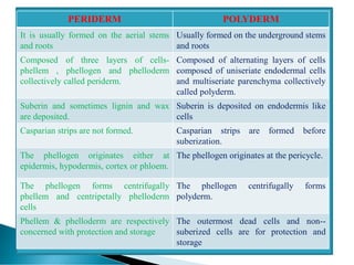 PERIDERM POLYDERM
It is usually formed on the aerial stems
and roots
Usually formed on the underground stems
and roots
Composed of three layers of cells-
phellem , phellogen and phelloderm
collectively called periderm.
Composed of alternating layers of cells
composed of uniseriate endodermal cells
and multiseriate parenchyma collectively
called polyderm.
Suberin and sometimes lignin and wax
are deposited.
Suberin is deposited on endodermis like
cells
Casparian strips are not formed. Casparian strips are formed before
suberization.
The phellogen originates either at
epidermis, hypodermis, cortex or phloem.
The phellogen originates at the pericycle.
The phellogen forms centrifugally
phellem and centripetally phelloderm
cells
The phellogen centrifugally forms
polyderm.
Phellem & phelloderm are respectively
concerned with protection and storage
The outermost dead cells and non--
suberized cells are for protection and
storage
 