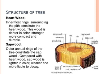 STRUCTURE OF TREE
Heart Wood:
Innermost rings surrounding
the pith constitute the
heart wood. This wood is
darker in color, stronger,
more compact and
durable.
Sapwood:
Outer annual rings of the
tree constitute the sap
wood . Compared with
heart wood, sap wood is
lighter in color, weaker and
more liable to decay.
 