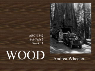 WOOD Andrea Wheeler
ARCH 542
Sci-Tech 2
Week 11
 