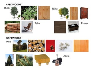 HARDWOODS SOFTWOODS Roble Olmo Teka Ébano Pino Abeto 
