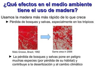 ¿Qué efectos en el medio ambiente tiene el uso de madera? Usamos la madera más más rápido de lo que crece Pérdida de bosques y selvas, especialmente en los trópicos Mato Grosso, Brazil, 1992 Same area in 2006 La pérdida de bosques y selvas pone en peligro muchas especies (por pérdida de su hábitat) y contribuye a la desertización y al cambio climático 