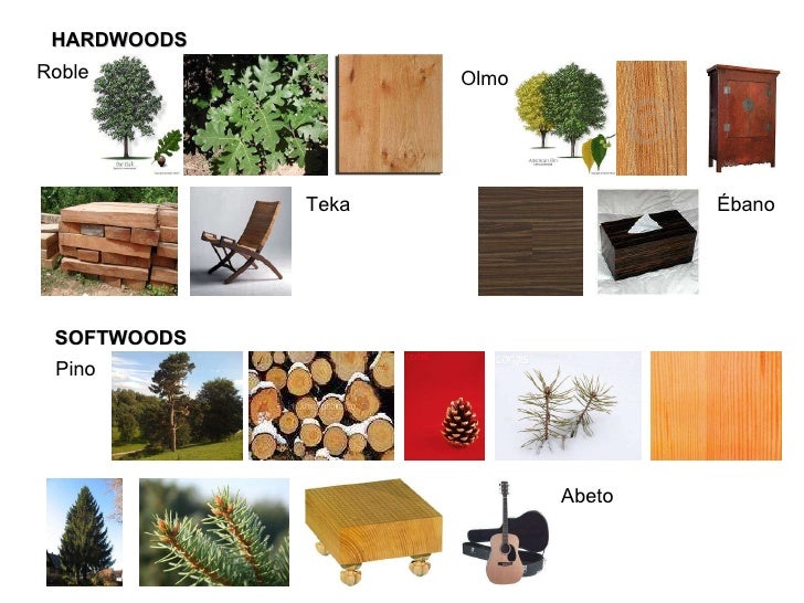 Cuáles Son Los Productos Derivados De La Madera es.slideshare.net