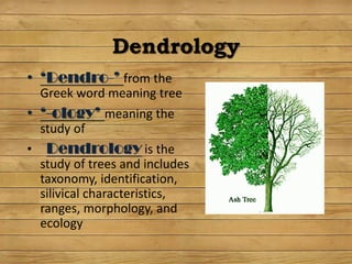 Dendrology
• ‘Dendro-’ from the
Greek word meaning tree
• ‘-ology’ meaning the
study of
• Dendrology is the
study of trees and includes
taxonomy, identification,
silivical characteristics,
ranges, morphology, and
ecology
 
