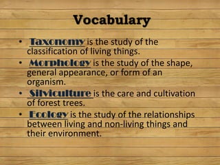 Vocabulary
• Taxonomy is the study of the
classification of living things.
• Morphology is the study of the shape,
general appearance, or form of an
organism.
• Silviculture is the care and cultivation
of forest trees.
• Ecology is the study of the relationships
between living and non-living things and
their environment.
 