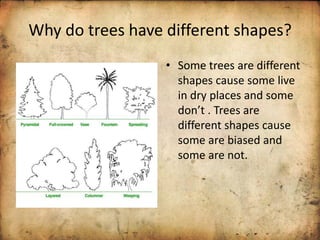 Why do trees have different shapes?
• Some trees are different
shapes cause some live
in dry places and some
do t . T ees a e
different shapes cause
some are biased and
some are not.
 