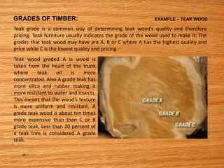 GRADES OF TIMBER: EXAMPLE – TEAK WOOD
Teak grade is a common way of determining teak ood s quality and therefore
pricing. Teak furniture usually indicates the grade of the wood used to make it. The
grades that teak wood may have are A, B or C where A has the highest quality and
price while C is the lowest quality and pricing.
Teak wood graded A is wood is
taken from the heart of the trunk
where teak oil is more
concentrated. Also A grade teak has
more silica and rubber making it
more resistant to water and insects.
This means that the ood s texture
is more uniform and resistant. A
grade teak wood is about ten times
more expensive than than C or B
grade teak. Less than 20 percent of
a teak tree is considered A grade
teak.
 