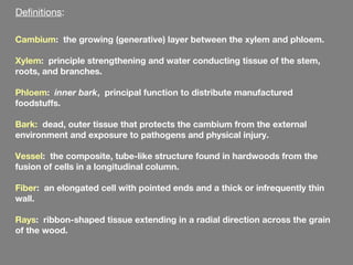 Definitions:

Cambium: the growing (generative) layer between the xylem and phloem.

Xylem: principle strengthening and water conducting tissue of the stem,
roots, and branches.

Phloem: inner bark, principal function to distribute manufactured
foodstuffs.

Bark: dead, outer tissue that protects the cambium from the external
environment and exposure to pathogens and physical injury.

Vessel: the composite, tube-like structure found in hardwoods from the
fusion of cells in a longitudinal column.

Fiber: an elongated cell with pointed ends and a thick or infrequently thin
wall.

Rays: ribbon-shaped tissue extending in a radial direction across the grain
of the wood.
 