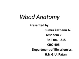 Wood Anatomy
Presented by;
Sumra kazbanu A.
Msc sem 2
Roll no. - 215
CBO 405
Department of life sciences,
H.N.G.U. Patan
 