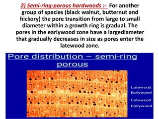 2) Semi-ring-porous hardwoods :- For another
group of species (black walnut, butternut and
hickory) the pore transition from large to small
diameter within a growth ring is gradual. The
pores in the earlywood zone have a largediameter
that gradually decreases in size as pores enter the
latewood zone.
 