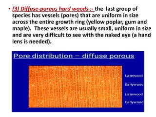 • (3) Diffuse-porous hard woods :- the last group of
species has vessels (pores) that are uniform in size
across the entire growth ring (yellow poplar, gum and
maple). These vessels are usually small, uniform in size
and are very difficult to see with the naked eye (a hand
lens is needed).
 