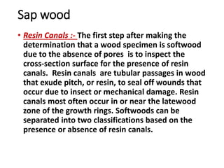 Sap wood
• Resin Canals :- The first step after making the
determination that a wood specimen is softwood
due to the absence of pores is to inspect the
cross-section surface for the presence of resin
canals. Resin canals are tubular passages in wood
that exude pitch, or resin, to seal off wounds that
occur due to insect or mechanical damage. Resin
canals most often occur in or near the latewood
zone of the growth rings. Softwoods can be
separated into two classifications based on the
presence or absence of resin canals.
 