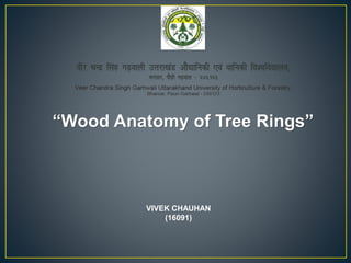 “Wood Anatomy of Tree Rings”
VIVEK CHAUHAN
(16091)
 