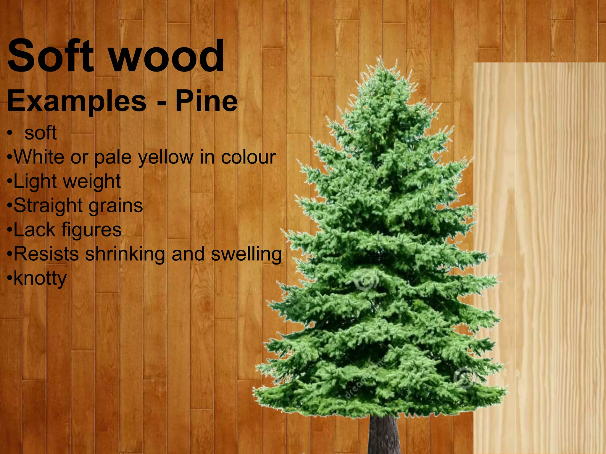Soft wood
Examples - Pine
• soft
•White or pale yellow in colour
•Light weight
•Straight grains
•Lack figures
•Resists shrinking and swelling
•knotty
 