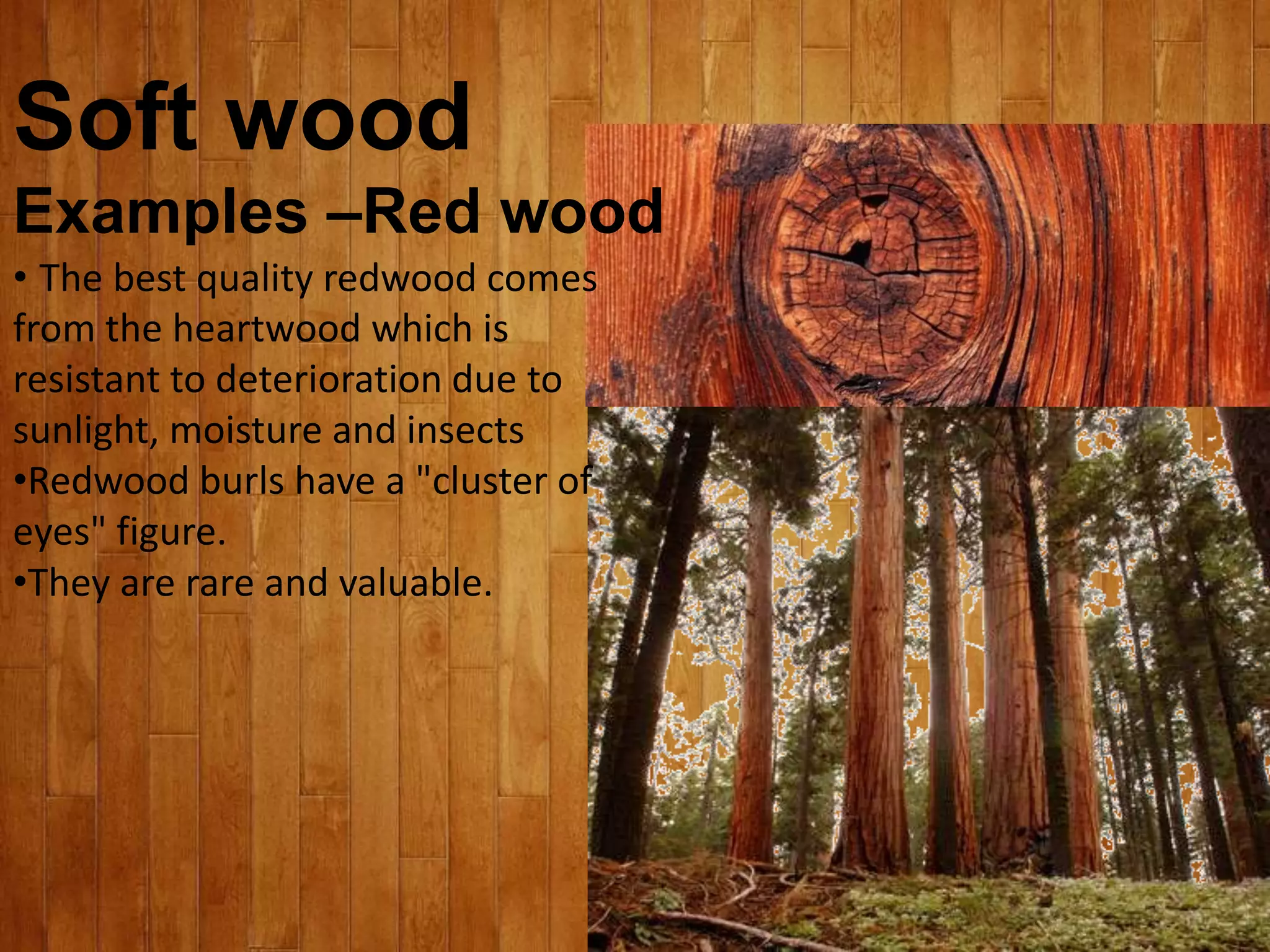 Soft wood
Examples –Red wood
• The best quality redwood comes
from the heartwood which is
resistant to deterioration due to
sunlight, moisture and insects
•Redwood burls have a "cluster of
eyes" figure.
•They are rare and valuable.
 
