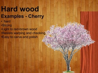 Hard wood
Examples - Cherry
• hard
•Strong
•Light to red-brown wood
•Resists warping and checking
•Easy to carve and polish
 