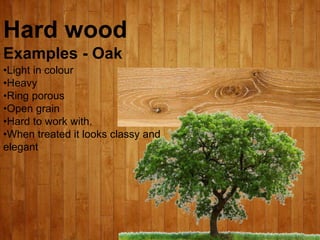 Hard wood
Examples - Oak
•Light in colour
•Heavy
•Ring porous
•Open grain
•Hard to work with.
•When treated it looks class...