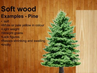 Soft wood
Examples - Pine
• soft
•White or pale yellow in colour
•Light weight
•Straight grains
•Lack figures
•Resists shr...