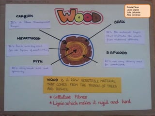 Estela Pérez
Laura López
Julia Lafuente
Alba Giménez