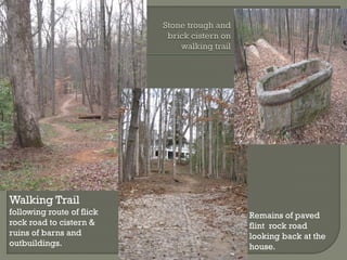 Walking Trail
following route of flick   Remains of paved
rock road to cistern &     flint rock road
ruins of barns and         looking back at the
outbuildings.              house.
 
