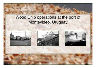 Wood Chip operations at the port of
     Montevideo, Uruguay
 