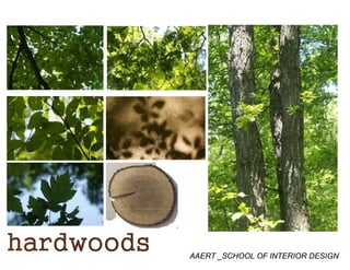 AAERT _SCHOOL OF INTERIOR DESIGN
 