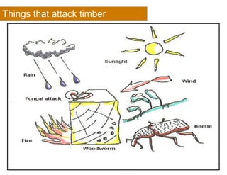 Things that attack timber
AAERT _SCHOOL OF INTERIOR DESIGN
 