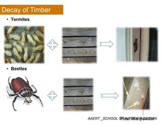 Decay of Timber
• Termites
• Beetles
AAERT _SCHOOL OF INTERIOR DESIGNFlour like powder
 