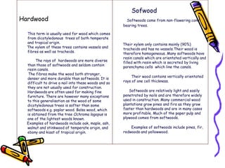 wood defects for civil engineering students | PPT