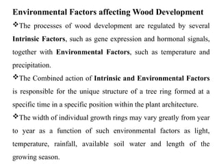 Environmental Factors affecting Wood Development
The processes of wood development are regulated by several
Intrinsic Factors, such as gene expression and hormonal signals,
together with Environmental Factors, such as temperature and
precipitation.
The Combined action of Intrinsic and Environmental Factors
is responsible for the unique structure of a tree ring formed at a
specific time in a specific position within the plant architecture.
The width of individual growth rings may vary greatly from year
to year as a function of such environmental factors as light,
temperature, rainfall, available soil water and length of the
growing season.
 