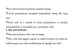 It is derived from fusiform cambial initials.
Axial parenchyma arranged longitudinal along the long
axis.
Each cell in a strand of axial parenchyma is usually
surrounded by a secondary by a secondary wall.
2. Ray parenchyma
Ray parenchyma cells vary in shape.
Ray cells that appear square in radial sections of wood are
called square ray cells modification of upright ray cells.
 