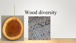 Wood diversity
 