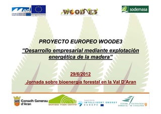 PROYECTO EUROPEO WOODE3
“Desarrollo empresarial mediante explotación
          energética de la madera”


                     29/6/2012
 Jornada sobre bioenergía forestal en la Val D’Aran
 
