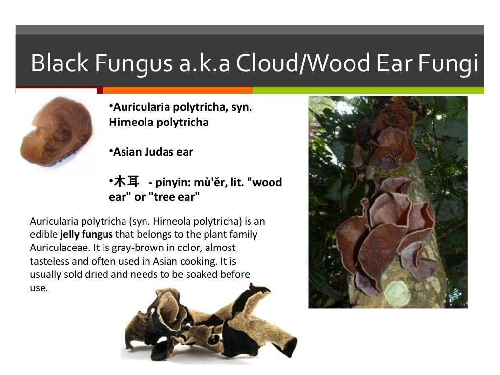 Wood ear