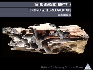 TESTING ENERGETIC THEORY WITH 
EXPERIMENTAL DEEP-SEA WOOD FALLS 
CRAIG R MCCLAIN 
National Evolutionary Synthesis Center 
 