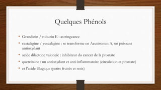 Quelques Phénols
• Grandinin / roburin E : astringeance
• castalagine / vescalagine : se transforme en Acutissimin A, un puissant
antioxydant
• acide dilactone valoneic : inhibiteur du cancer de la prostate
• quercitaine : un antioxydant et anti-inflammatoire (circulation et prostate)
• et l’acide éllagique (petits fruités et noix)
 